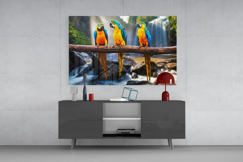 Parrots Glass Wall Art
