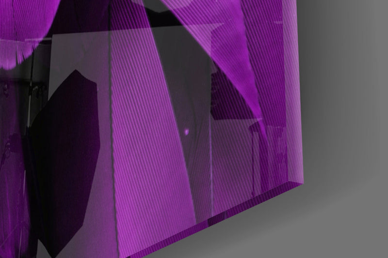 Bird Feathers Glass Wall Art