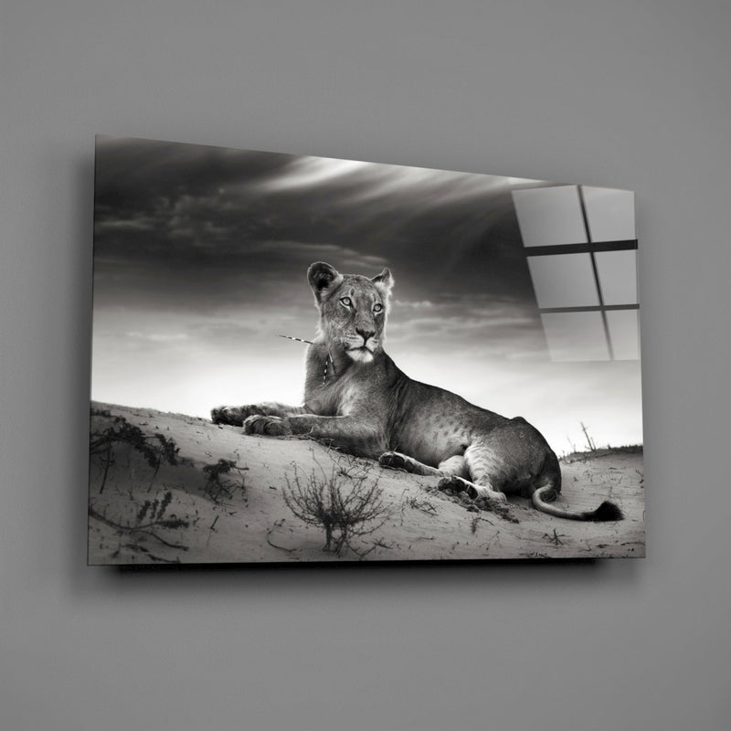 Lioness Glass Wall Art