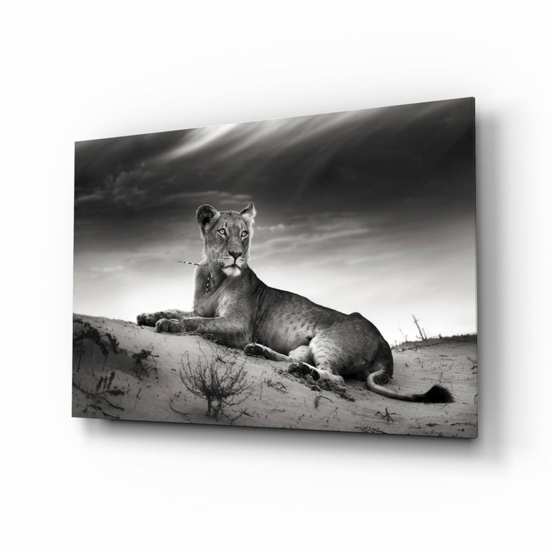 Lioness Glass Wall Art
