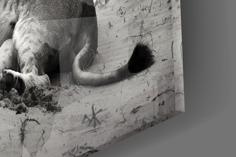 Lioness Glass Wall Art