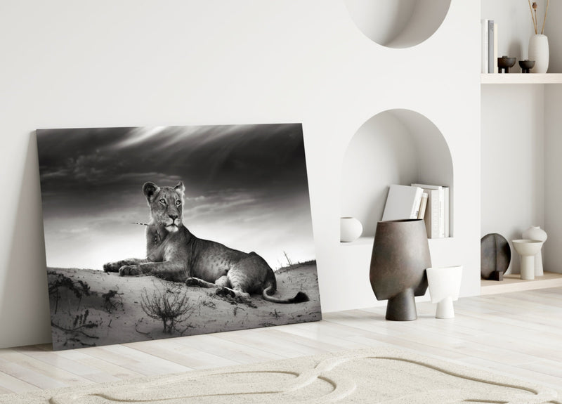 Lioness Glass Wall Art