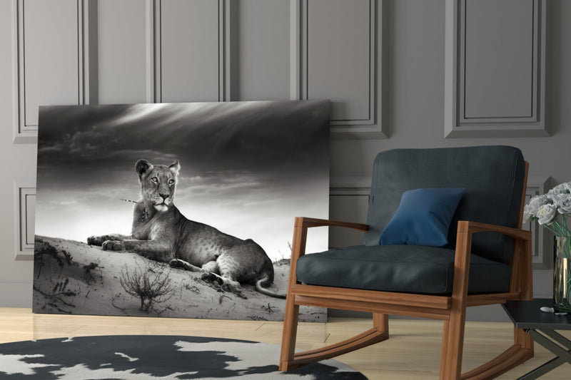 Lioness Glass Wall Art