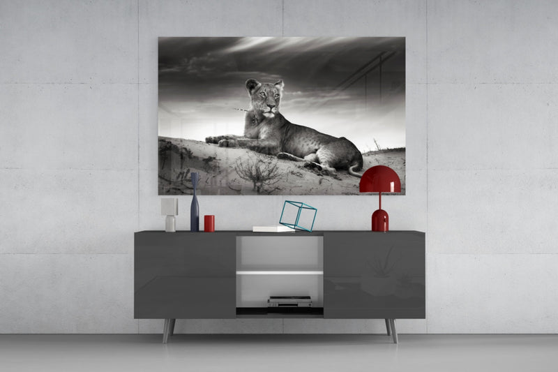 Lioness Glass Wall Art