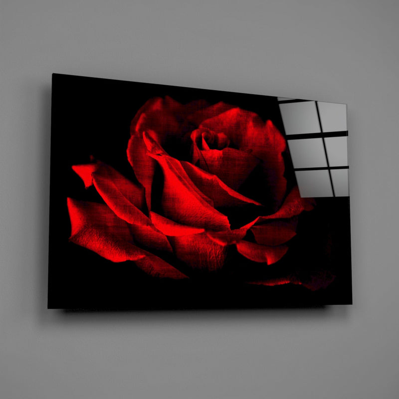 Red Rose Glass Wall Art