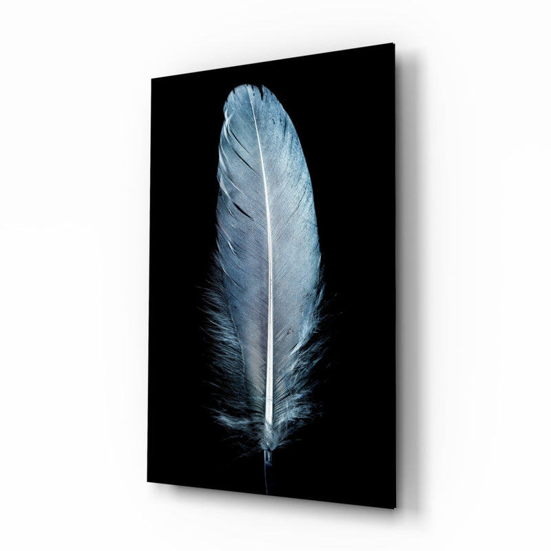 Blue Feather Glass Wall Art