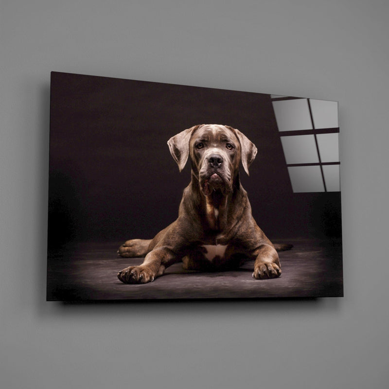 Dog Glass Wall Art