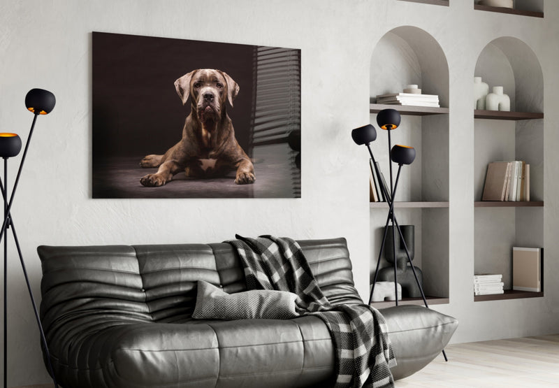 Dog Glass Wall Art