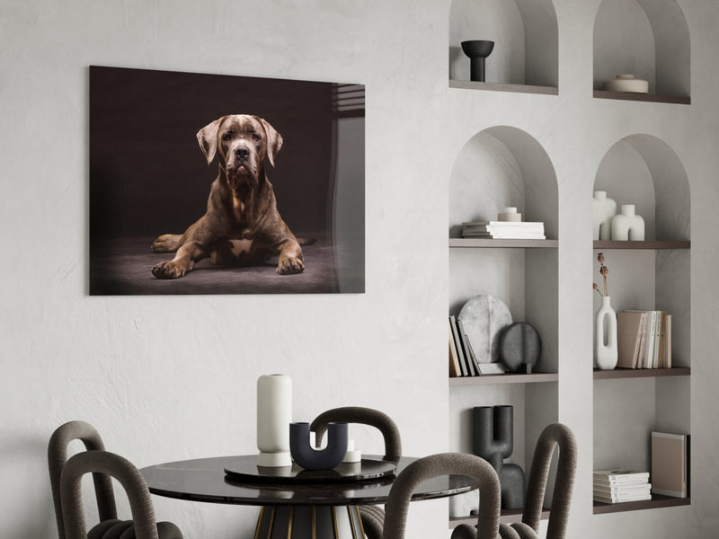 Dog Glass Wall Art