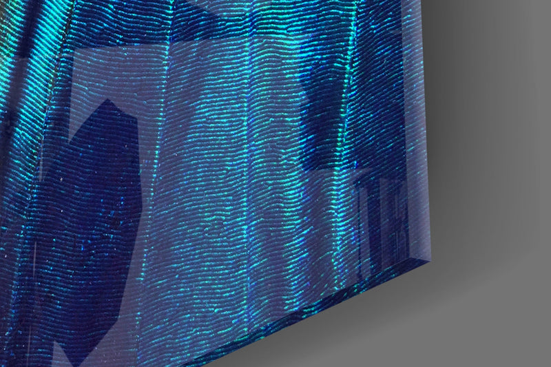 Butterfly Wing Glass Wall Art