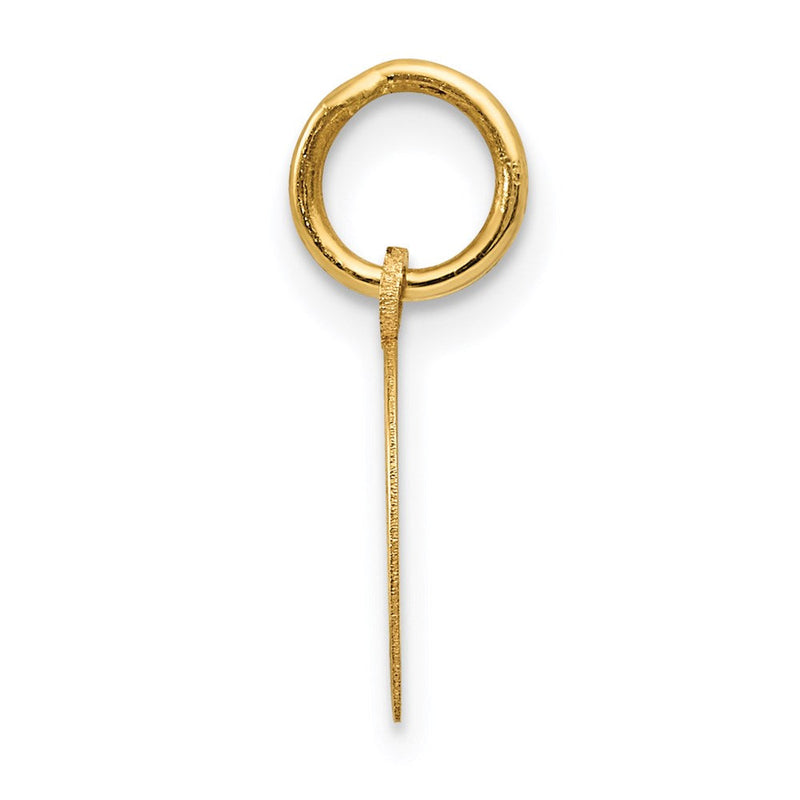14k Yellow Gold Horseshoe Charm in Polished