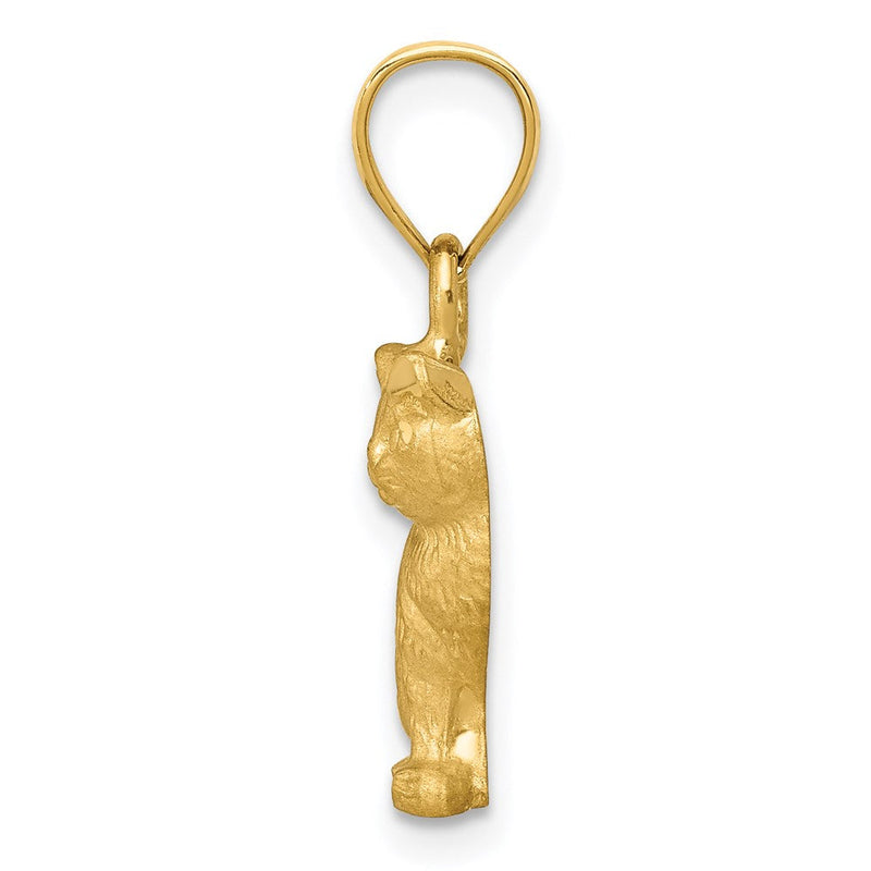 14k Yellow Gold 2D Textured and Satin Cat Pendant