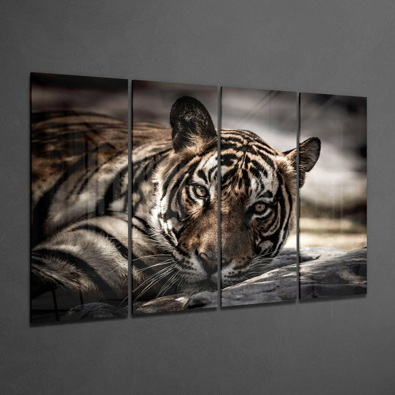 Tiger 4 Pieces Mega Glass Wall Art (59"x36")