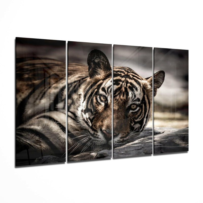 Tiger 4 Pieces Mega Glass Wall Art (59"x36")