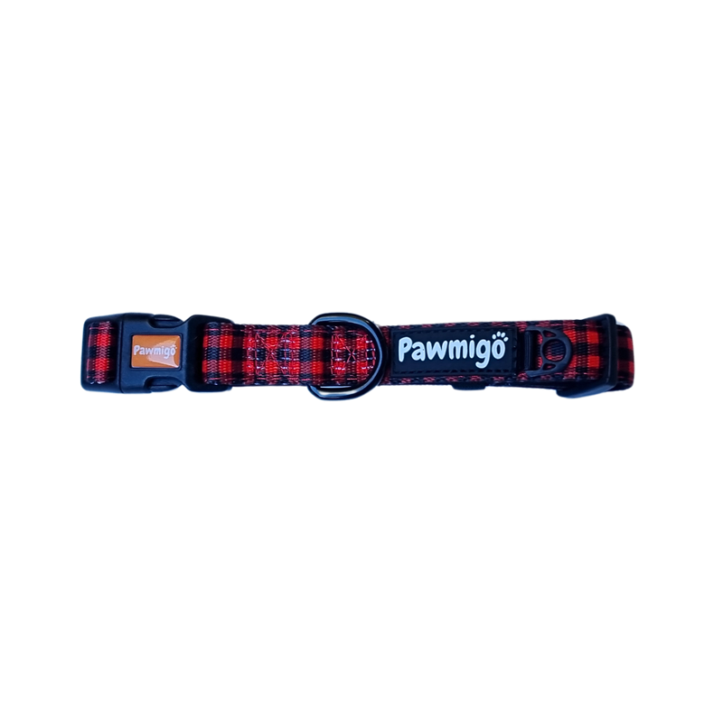 Lumbersnack Classic Collar