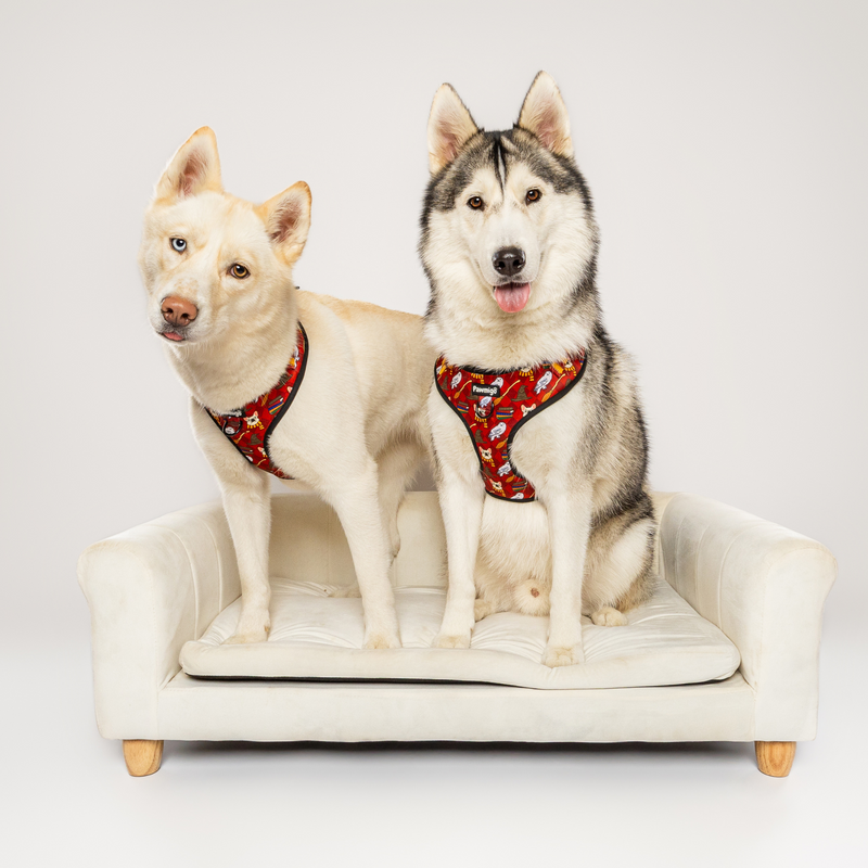 Pawgwarts Everyday Adjustable No-Pull Dog Harness