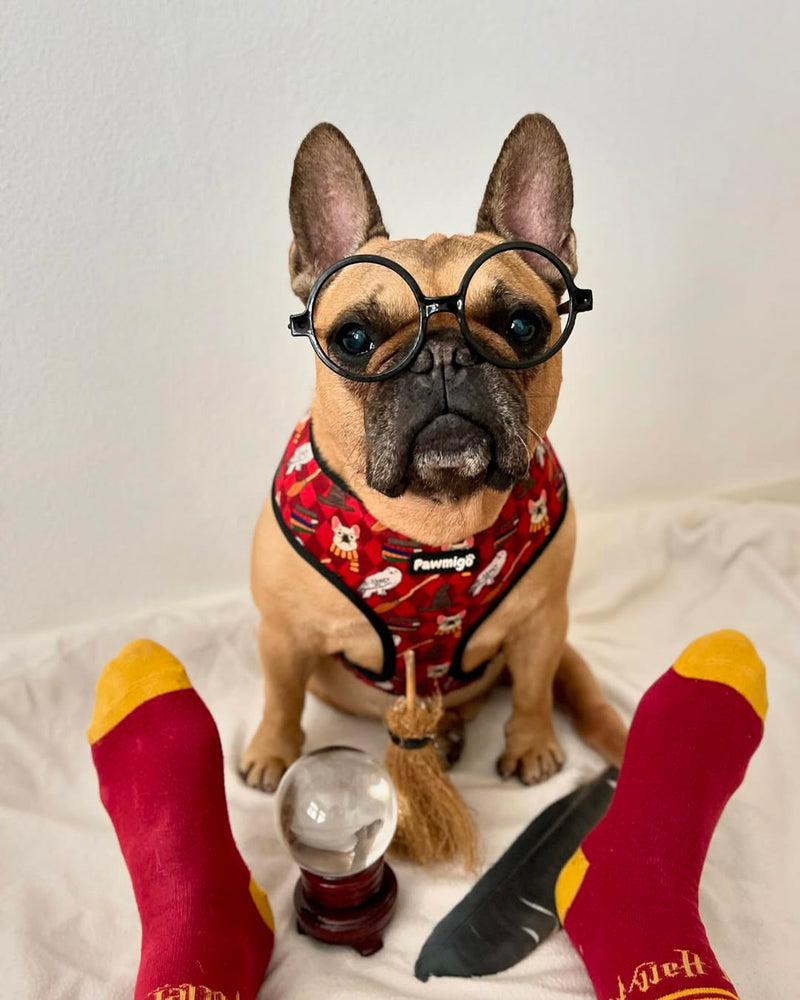 Pawgwarts Reversible Harness