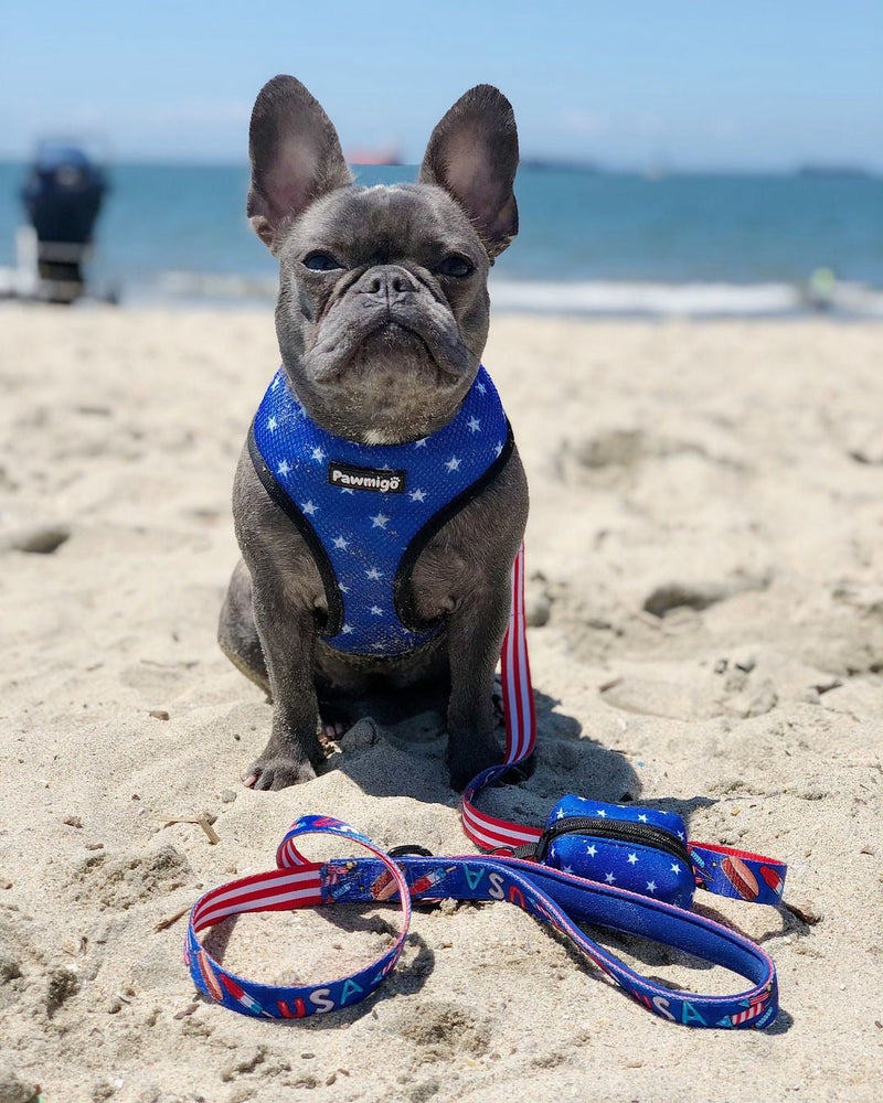 Red, White & Bark Leash Kit