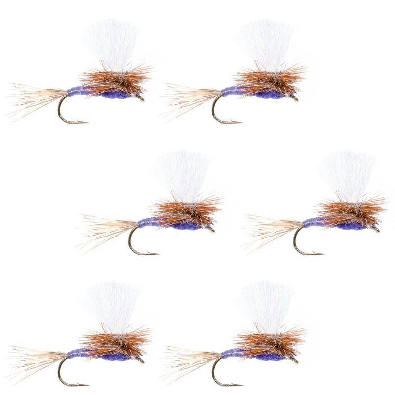 Parachute Purple Haze Dry Fly - 6 Flies Size 20