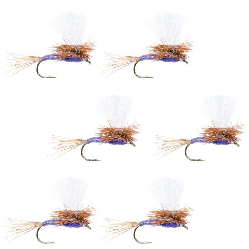Parachute Purple Haze Dry Fly - 6 Flies Size 14