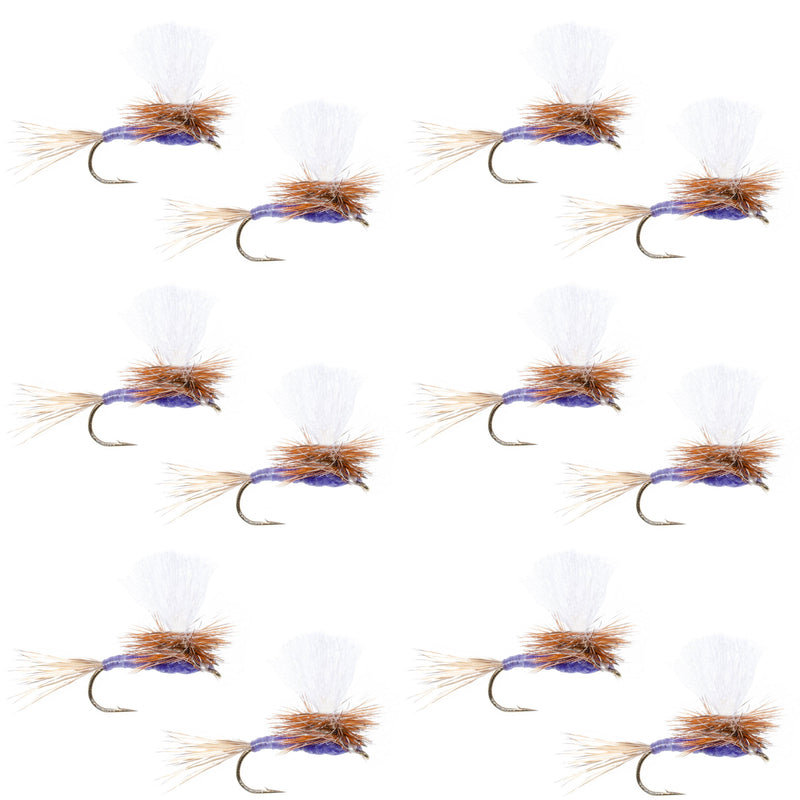 Parachute Purple Haze Dry Fly - 12 Flies Size 14