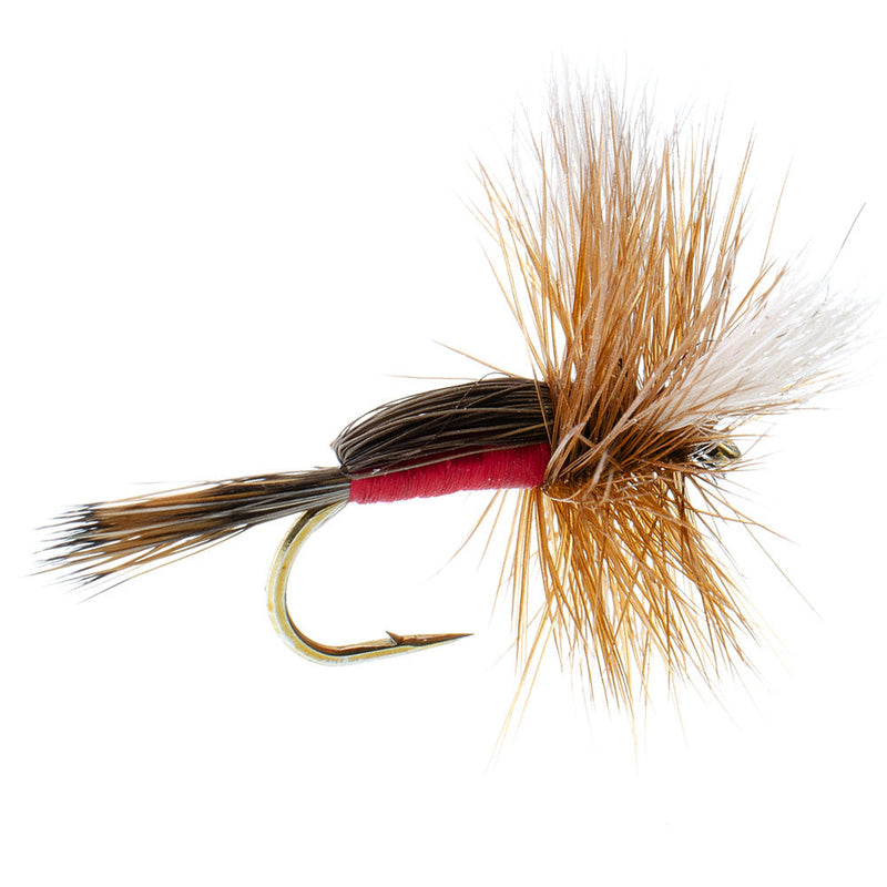 Royal Humpy Classic Hair Wing Dry Fly - 12 Flies Hook Size 14