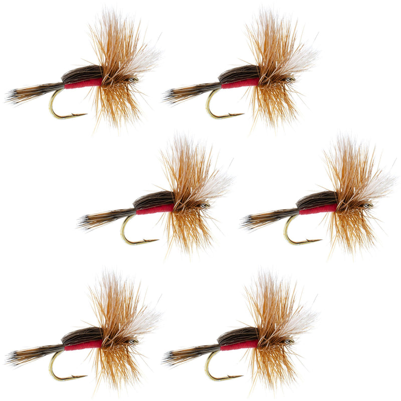 Royal Humpy Classic Hair Wing Dry Fly - 6 Flies Size 14