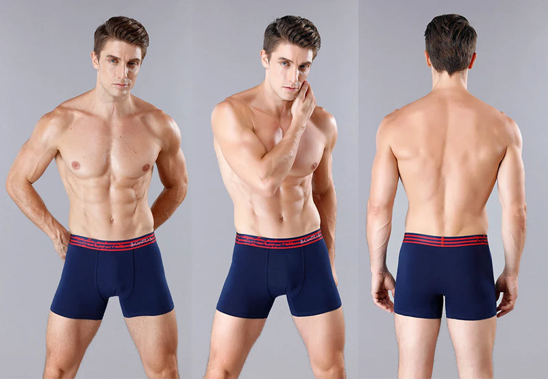 4Pcs Men's Cotton Underpants Sexy Boxers