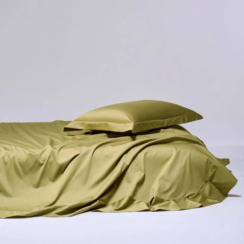 100% Egyptian Cotton Bed Sheet Set 1000TC [Queen & King]