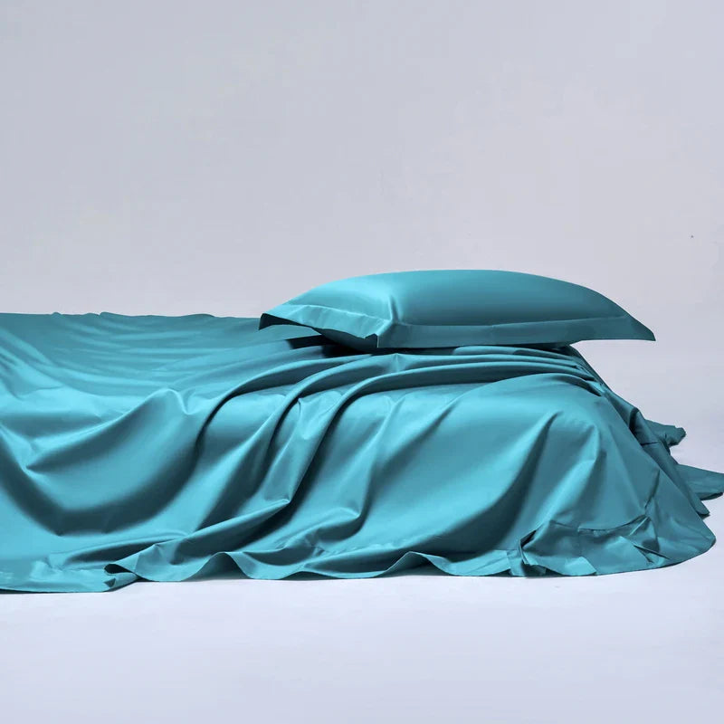 100% Egyptian Cotton Bed Sheet Set 1000TC [Queen & King]