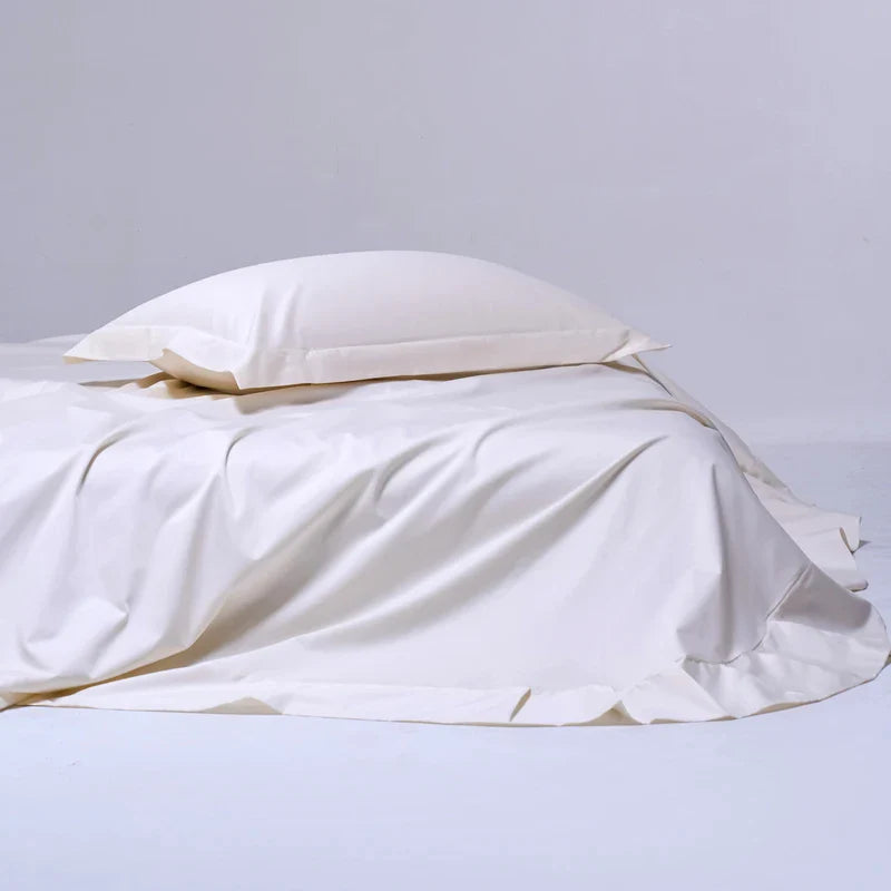 100% Egyptian Cotton Bed Sheet Set 1000TC [Queen & King]