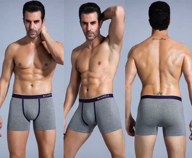 4Pcs Men's Cotton Underpants Sexy Boxers