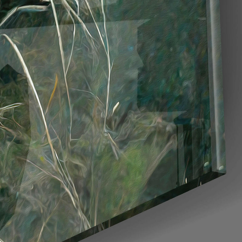 Sharp Vision Glass Wall Art  || Designer Collection