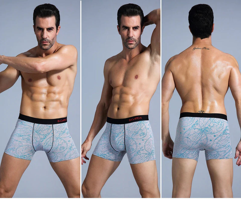 4Pcs Men's Cotton Underpants Sexy Boxers