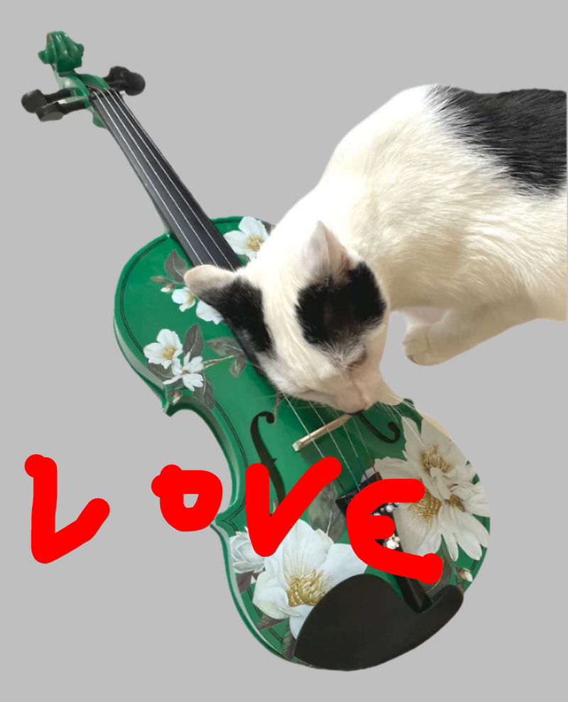 Magnolia Heaven Emerald Green Violin Outfit