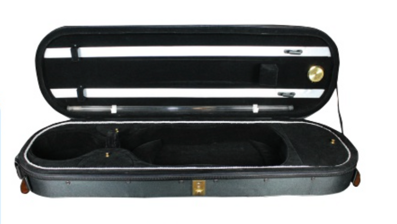 Lumina Artist Violin Outfit -Rainbow Tailpiece