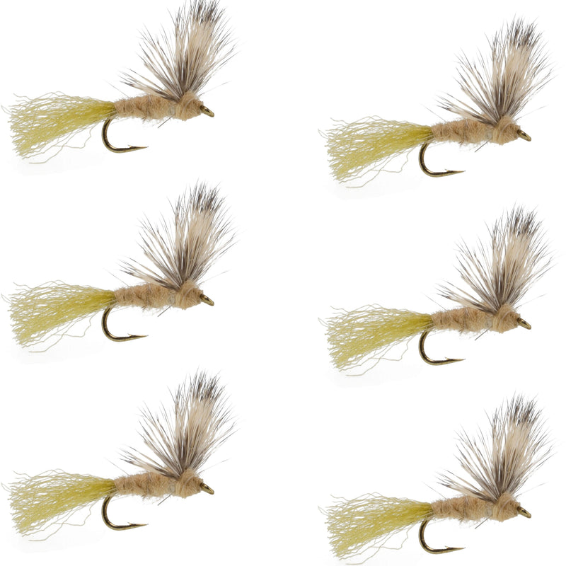 Sparkle Dun Callibaetis Mayfly - 6 Flies Hook size 16