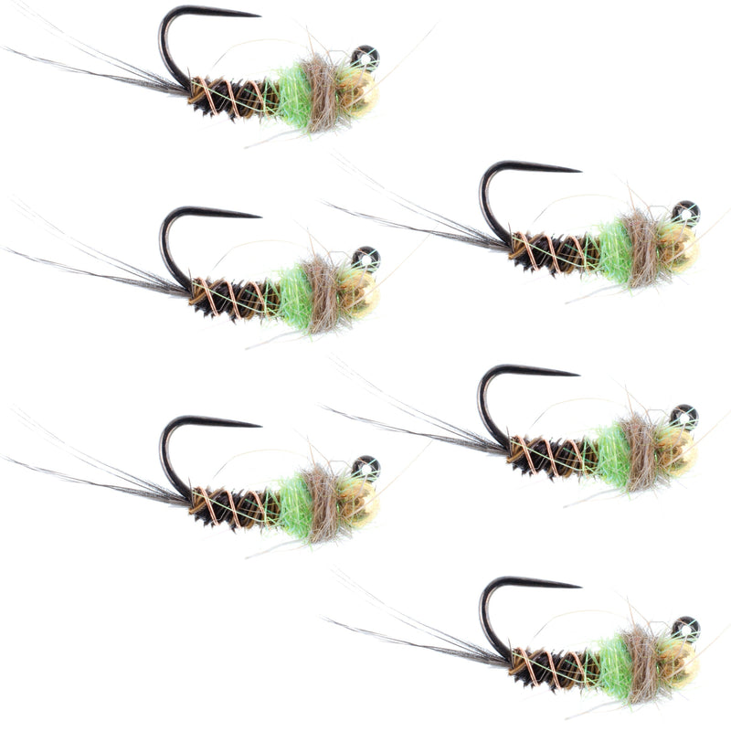 Tungsten Soft Hackle Pheasant Tail Tactical Euro Jig - 12 Flies Size 14