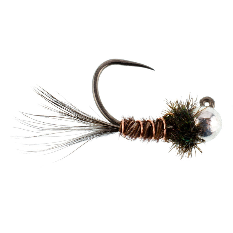 Tungsten Pheasant Tail Tactical Nymph Euro Jig - 6 Flies Size 14