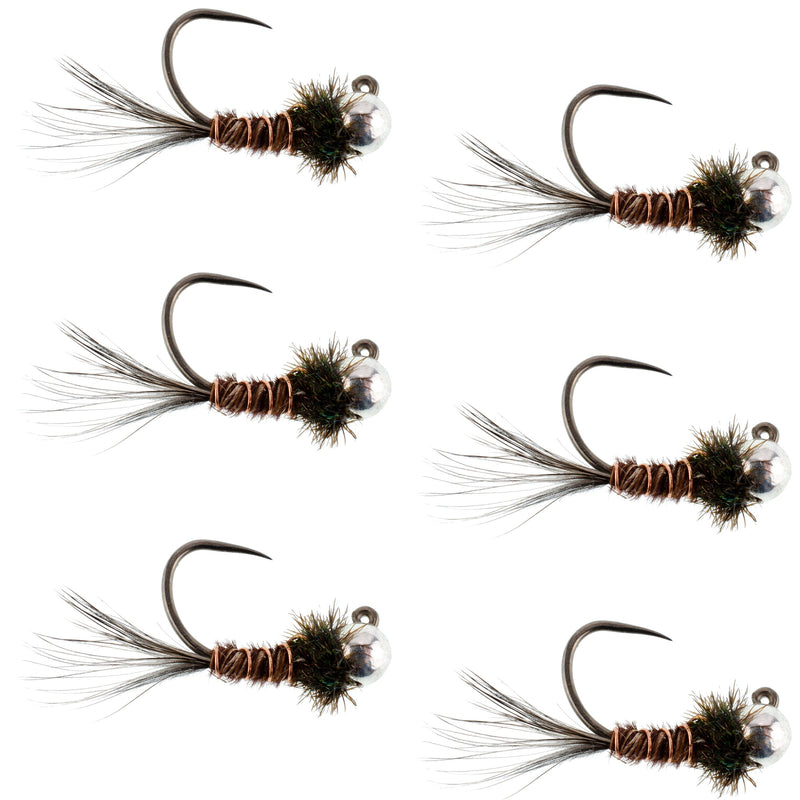 Tungsten Pheasant Tail Tactical Nymph Euro Jig - 6 Flies Size 14