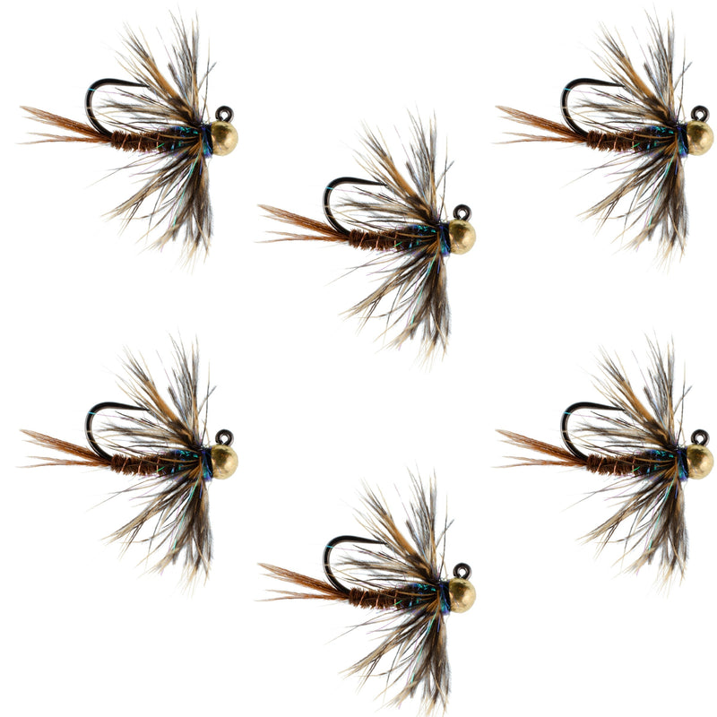 Tungsten Soft Hackle Pheasant Tail Tactical Nymph Euro Jig - 6 Flies Size 16