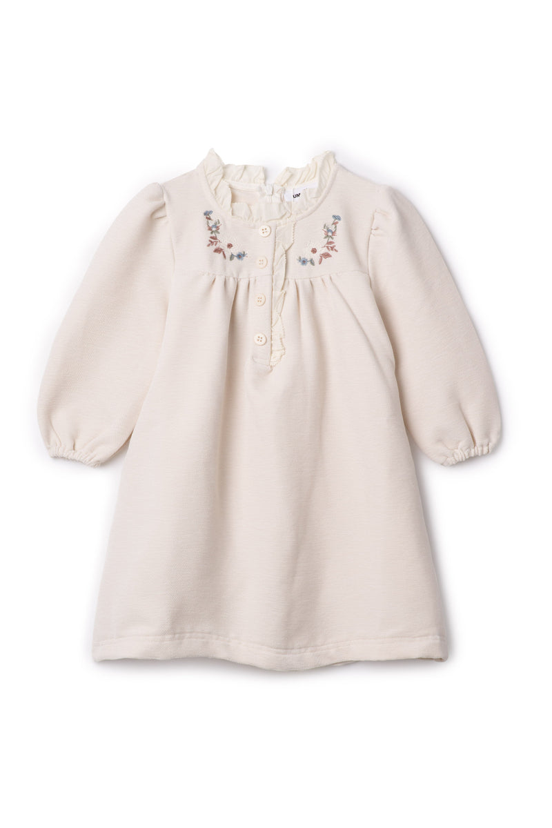 Velvet Embroidered Floral Dress