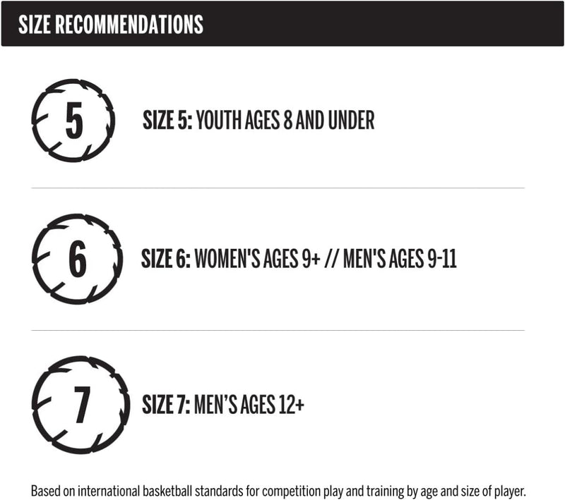 WILSON Evolution Game Basketball