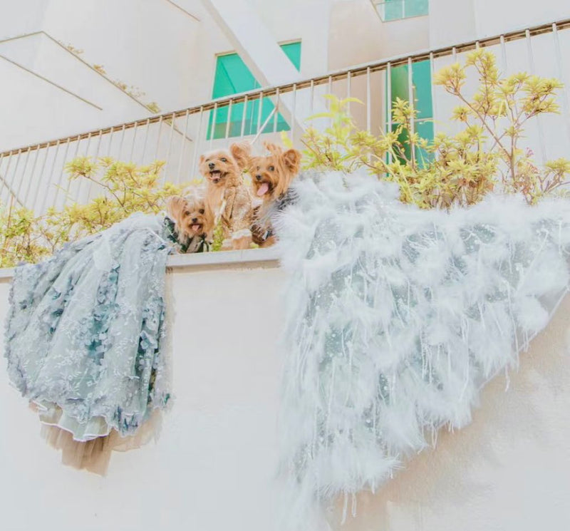 Feather Fantasy Pet Gown | Luxury Dog Dress for Special Occasions