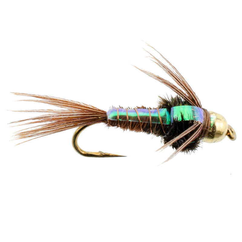 Basics Collection - Flash Back Tungsten Bead Head Nymphs 10 Flies  #10-16