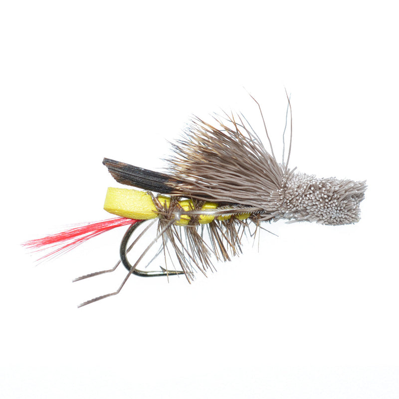 Trout Fly Assortment - Essential Western Dry and Nymph Fly Fishing Flies Collection - 2 Dozen Trout Flies with Fly Box
