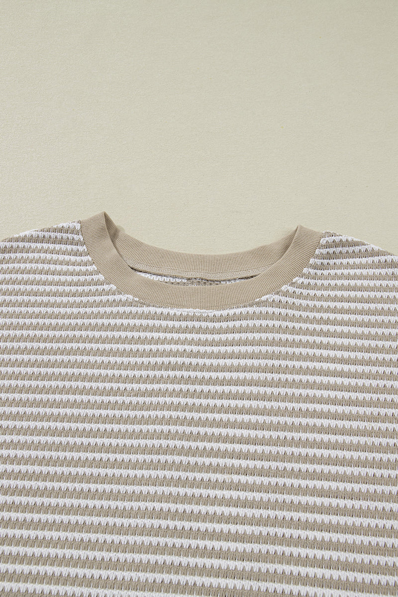 Vanessa Knit Ribbed Trim Long Sleeve PLUS Top