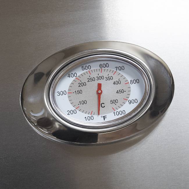 American Outdoor Grill 30NBL L-Series 3-Burner Built-In Natural Gas Grill W/ Rotisserie Kit, 30" [30NBL] (SAK57636)