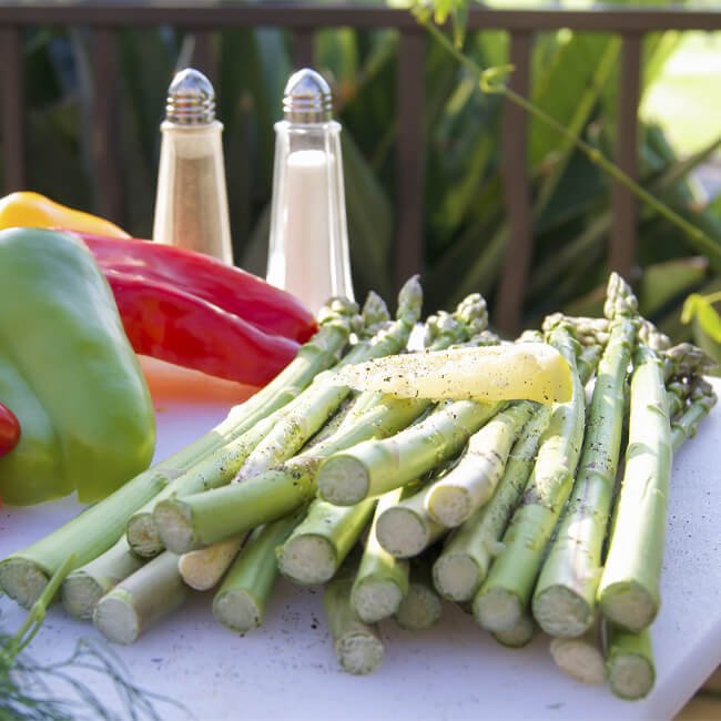 American Outdoor Grill 24NBT T-Series 2-Burner Built-In Natural Gas Grill W/ Rotisserie Kit, 24" [24NBT] (SAK65205)