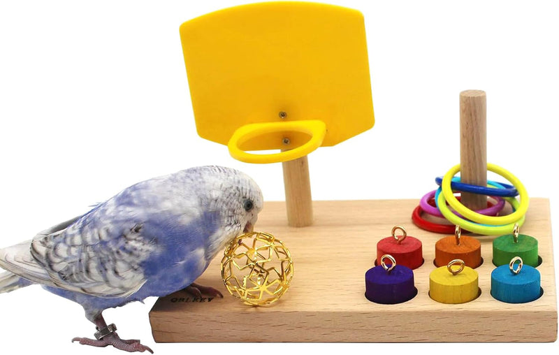 Engaging Bird Toys for Budgies and Parrots